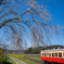 桜と小湊鉄道その2の6