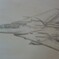 たまには描くのもいいかも｡