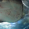 江ノ島水族館