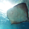 江ノ島水族館