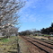 小湊鉄道さと山ウオーク 20