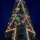 巨大クリスマスツリー