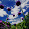 What A Wonderful World ~1~