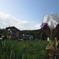 疲れた