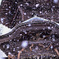 龍雪に舞う