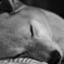 眠り