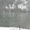 なごりの雪景色