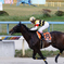金沢競馬場にて