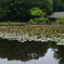 せせらぎ公園-古民家