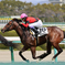阪神競馬場にて　武豊騎手