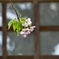 静かな刻の中で