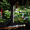竹林寺-Ⅱ　紫陽花のある風景