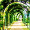 Greenだよ♪