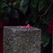 _G9P3991_DxO