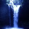 DSCF7791