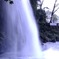 DSCF7821