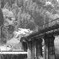 DSCF7839