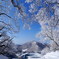 霧氷輝く赤城山
