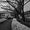 2024-03-07_4555