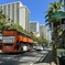 Kalakaua Avenue 2024