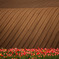 Spring Wave