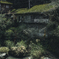 緑