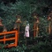 貴船神社