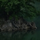 龍神