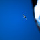 crossing_over