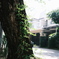 GF50mmの良さ。