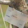 三春滝桜　おまけ