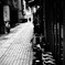 裏路地に灯りが燈るころ・・・