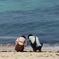 山口の旅 023