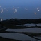 山口の旅 188
