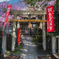 桜と鳥居