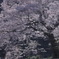 春眠