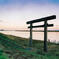 アナログ：津宮鳥居と利根川