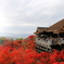 清水寺の紅葉