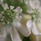 退職祝いの花束より①
