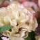 退職祝いの花束より④