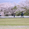 政庁あと公園
