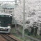 春の神戸電鉄