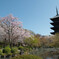 東寺