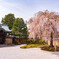 高台寺