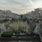 千里川 花咲か公園