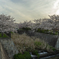 千里川 花咲か公園