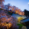 西関東連絡道路～夜桜貫くハイウェイ～