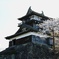 霞ヶ城…春