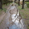 雨上がりの散歩道