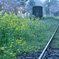 rail line